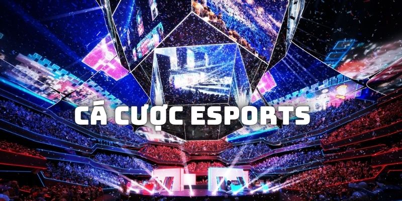 Cá Cược Esports BK8 Có Gì "Hot"